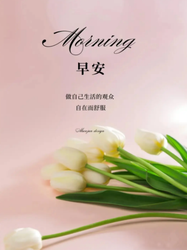 早上发朋友圈的文案和配图合集