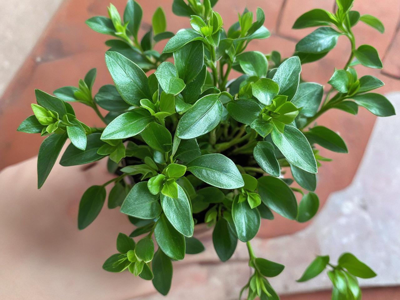 姥爷生日快乐!快来点击链接下载专属祝福,为他送上满满心意(图1) 姥爷生日快乐!快来点击链接下载专属祝福,为他送上满满心意(图1)